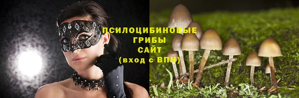 ПСИЛОЦИБИНОВЫЕ ГРИБЫ Балахна