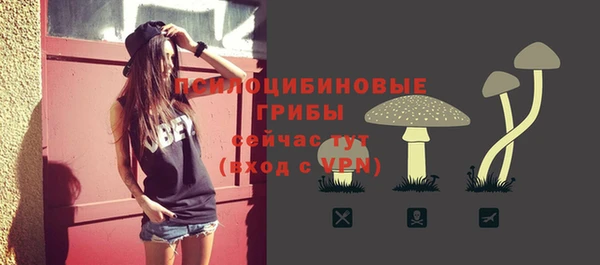 крисы Балабаново