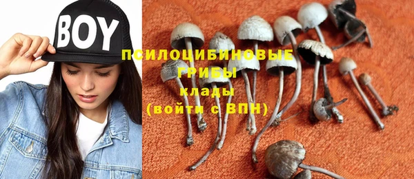 крисы Балабаново